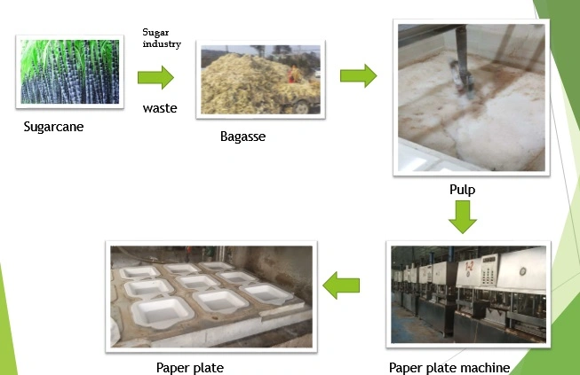 Rice Straw Sugarcane Bagasse Pulp Disposable Paper Cup Making Forming Machine Price